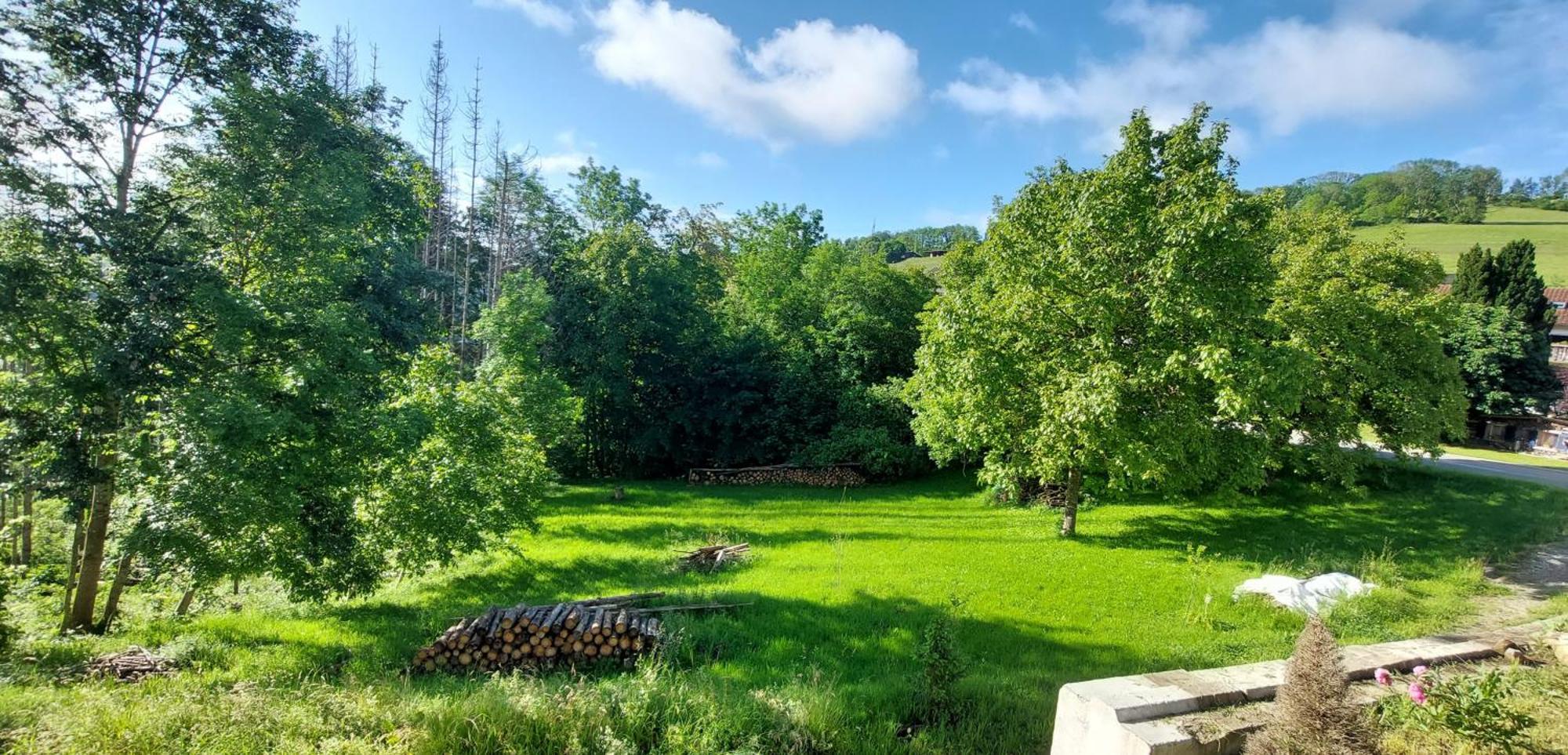 Fewo Bukowina Waldshut-Tiengen Exterior photo